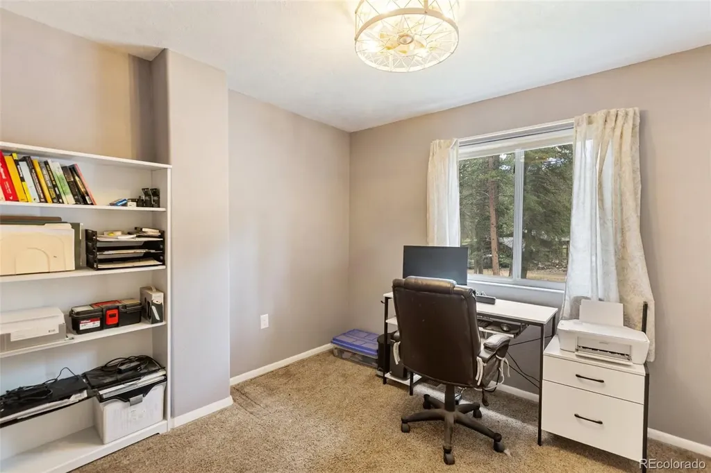 10 Ollie Court Woodland Park CO 80863
