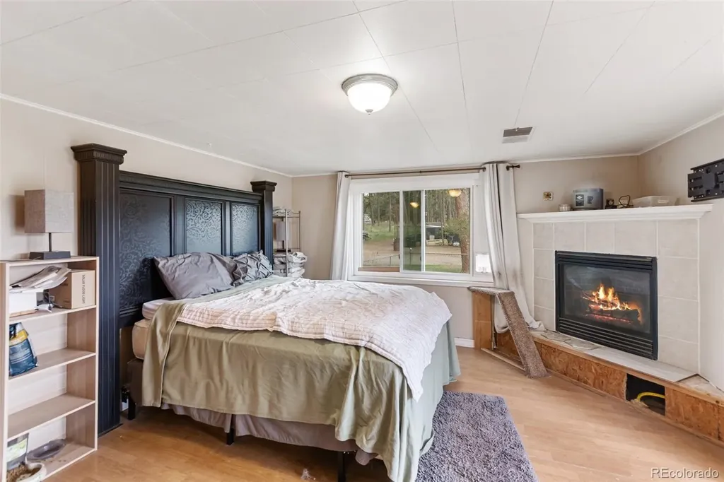 10 Ollie Court Woodland Park CO 80863