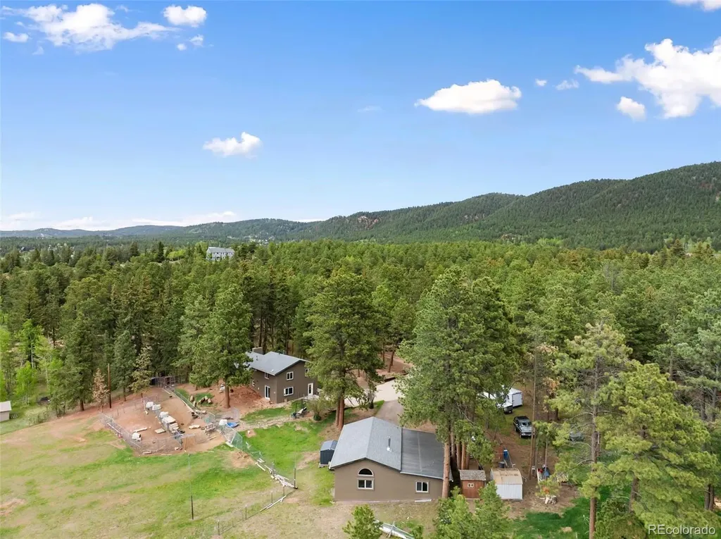 10 Ollie Court Woodland Park CO 80863