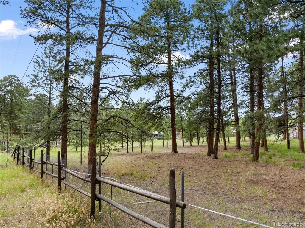 10 Ollie Court Woodland Park CO 80863