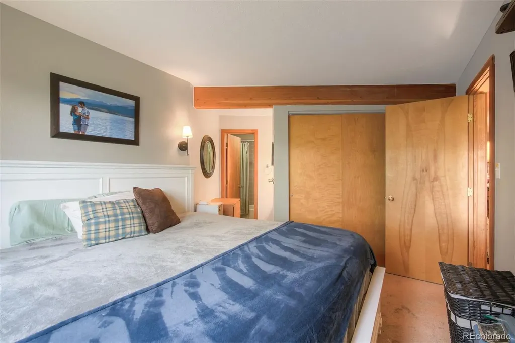 9460 Ryan Gulch Road Silverthorne CO 80498