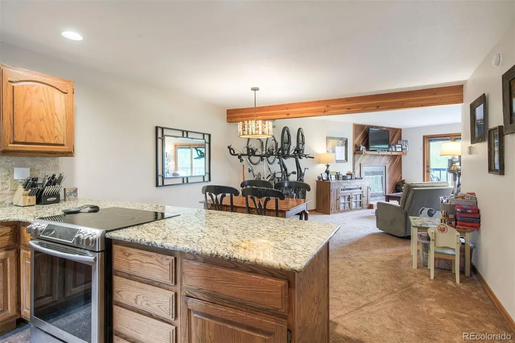 9460 Ryan Gulch Road Silverthorne CO 80498