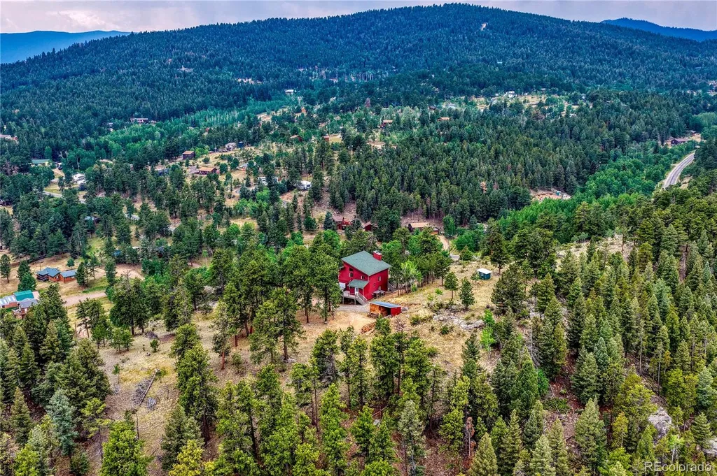 19 E Pine Drive Bailey CO 80421