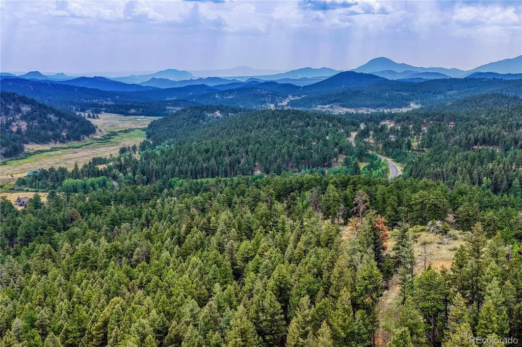 19 E Pine Drive Bailey CO 80421