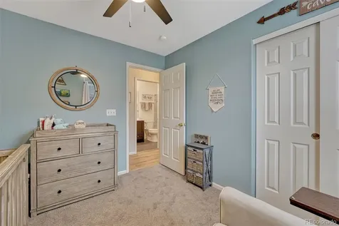 7135 Leopard Drive Lone Tree CO 80124