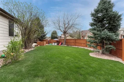 7135 Leopard Drive Lone Tree CO 80124