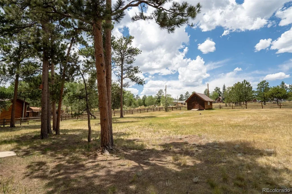 541 Beaver Trail Bailey CO 80421