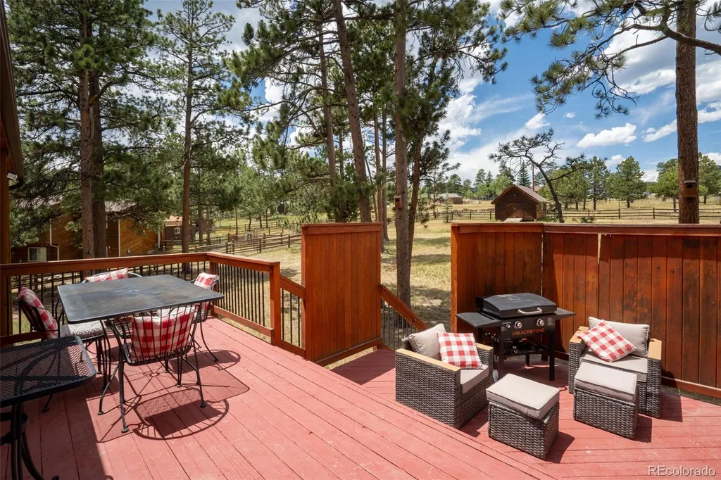 541 Beaver Trail Bailey CO 80421