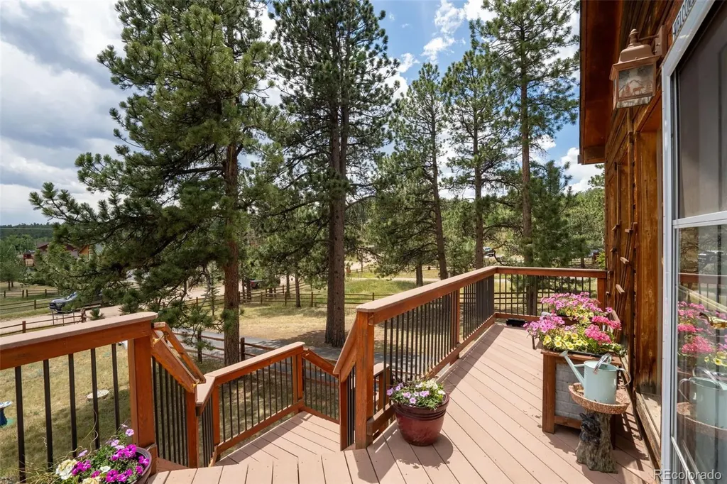 541 Beaver Trail Bailey CO 80421