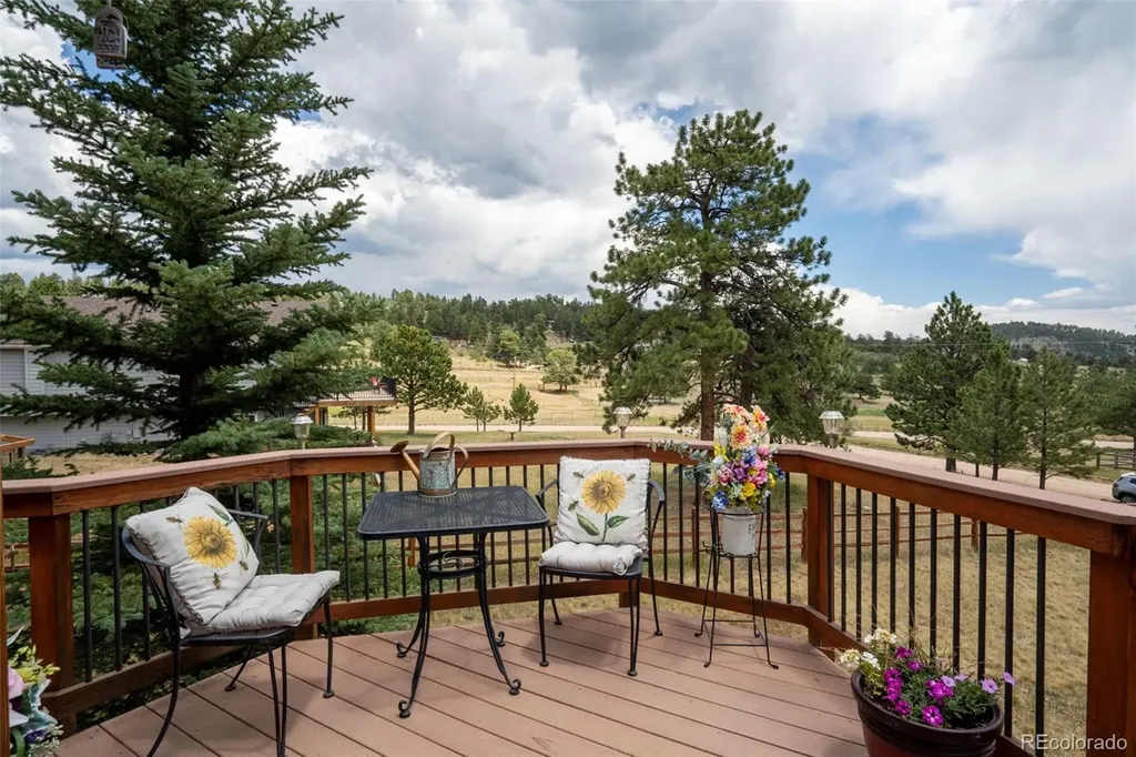 541 Beaver Trail Bailey CO 80421
