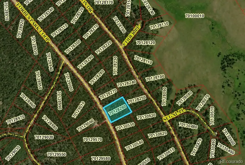 2905 Forbes Park Loop Fort Garland CO 81133