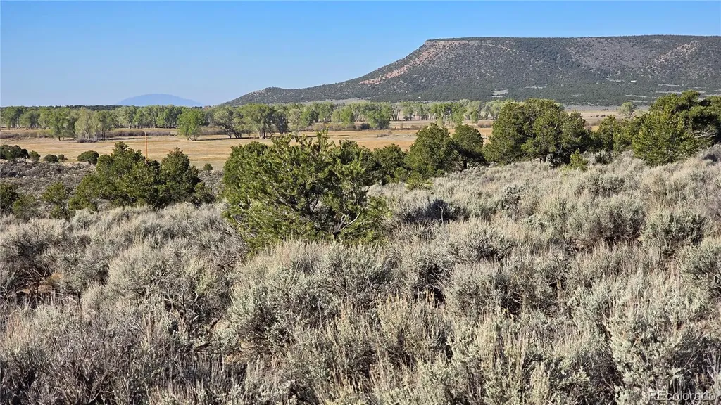 Lot 3714 Hartgrave Road Fort Garland CO 81133