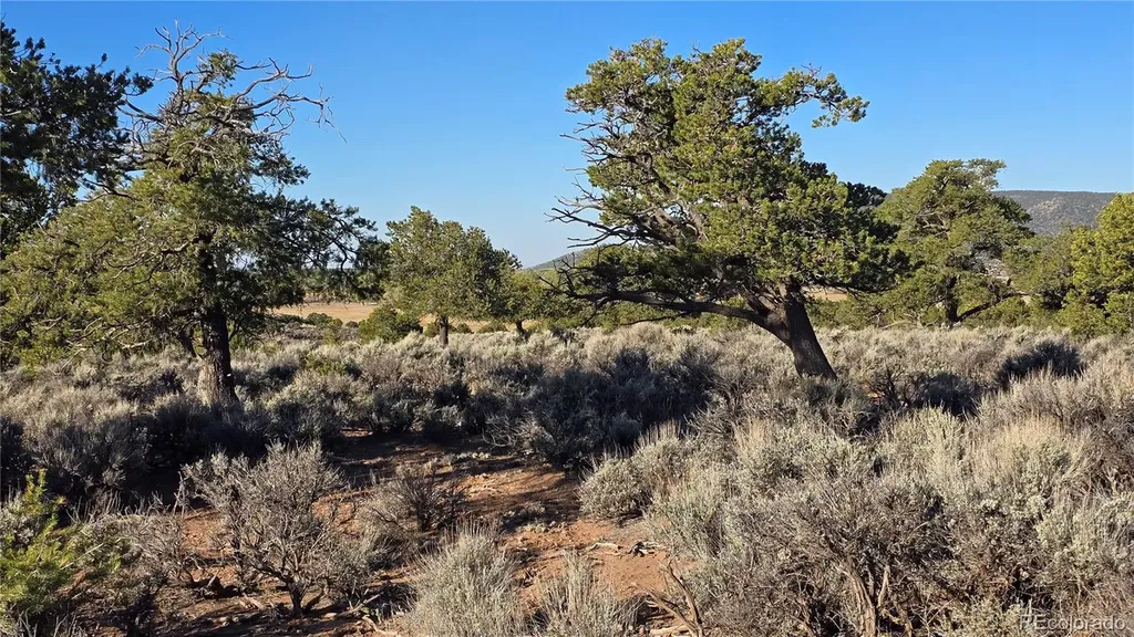 Lot 3714 Hartgrave Road Fort Garland CO 81133