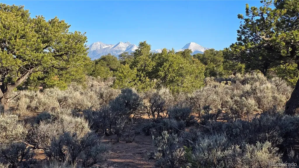 Lot 3714 Hartgrave Road Fort Garland CO 81133