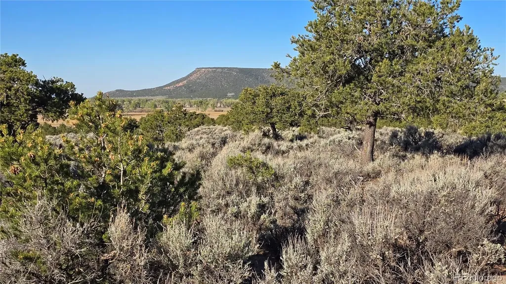 Lot 3714 Hartgrave Road Fort Garland CO 81133