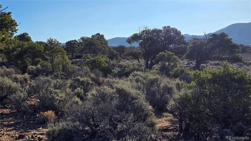 Lot 3714 Hartgrave Road Fort Garland CO 81133