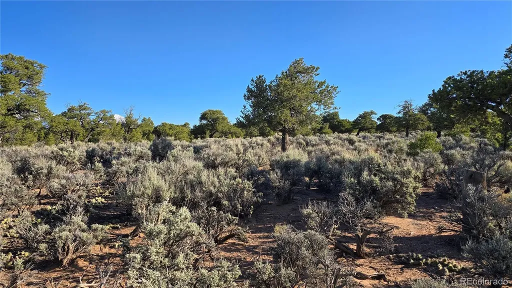 Lot 3714 Hartgrave Road Fort Garland CO 81133