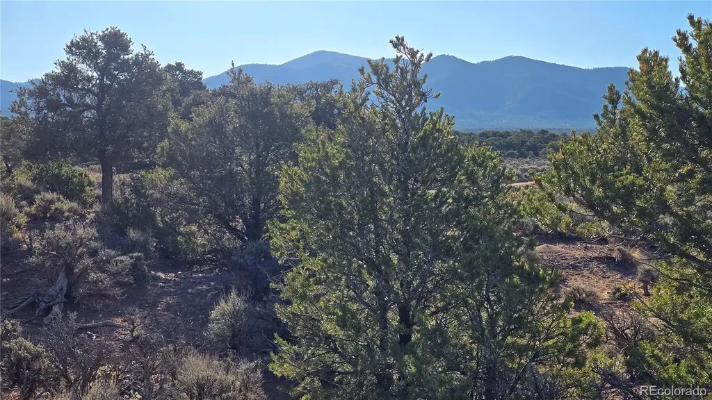 Lot 3714 Hartgrave Road Fort Garland CO 81133