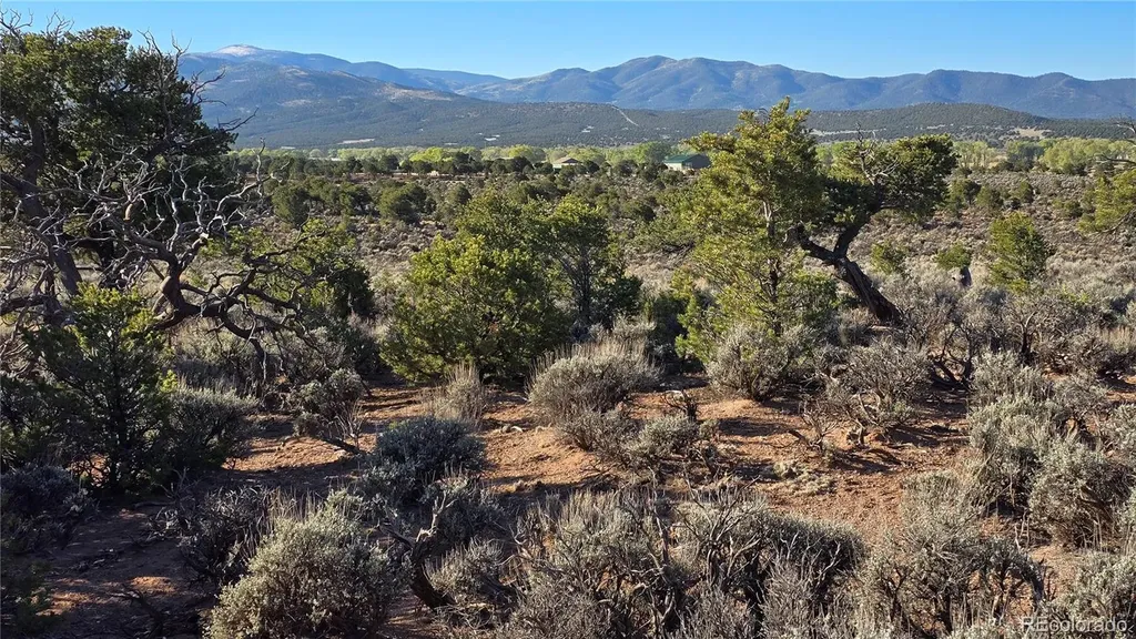 Lot 3714 Hartgrave Road Fort Garland CO 81133