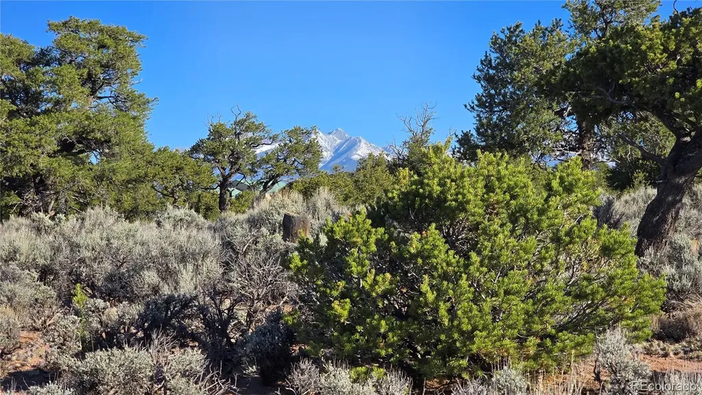 Lot 3714 Hartgrave Road Fort Garland CO 81133