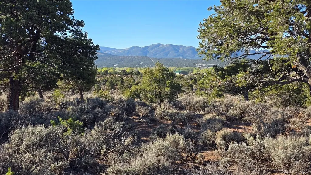 Lot 3714 Hartgrave Road Fort Garland CO 81133