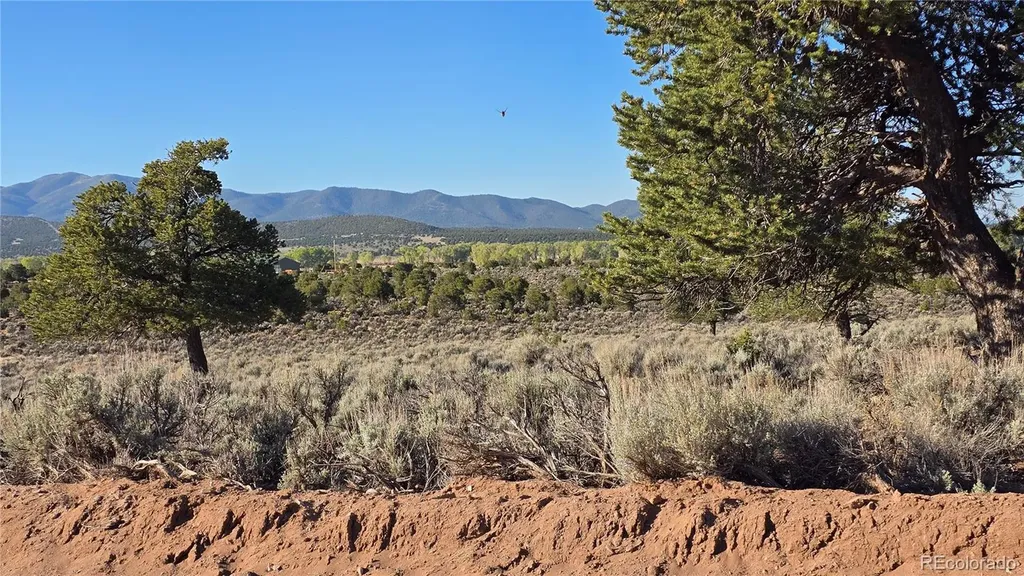 Lot 3714 Hartgrave Road Fort Garland CO 81133