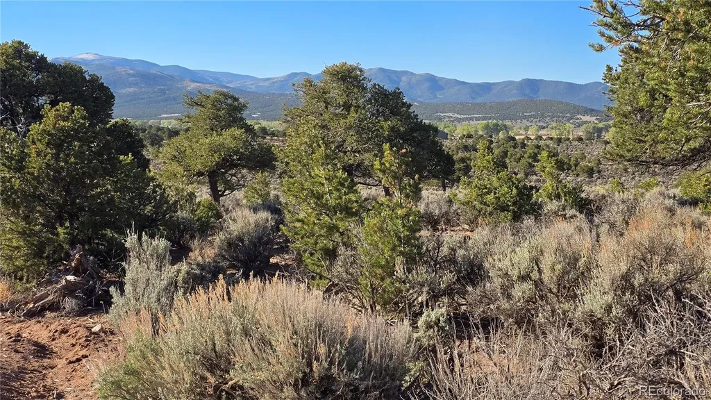 Lot 3714 Hartgrave Road Fort Garland CO 81133