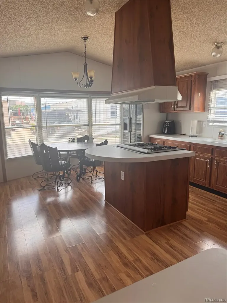 19 Darren Street Castle Rock CO 80109