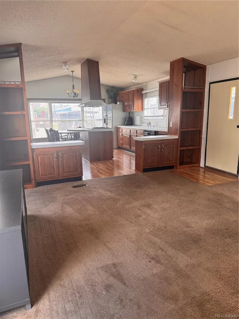 19 Darren Street Castle Rock CO 80109