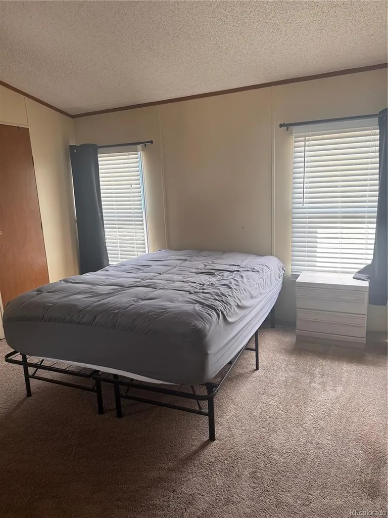 19 Darren Street Castle Rock CO 80109