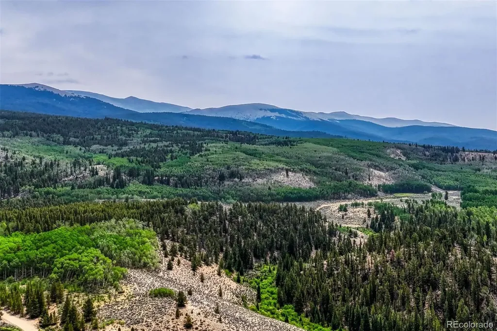 143 Elk Road Leadville CO 80461
