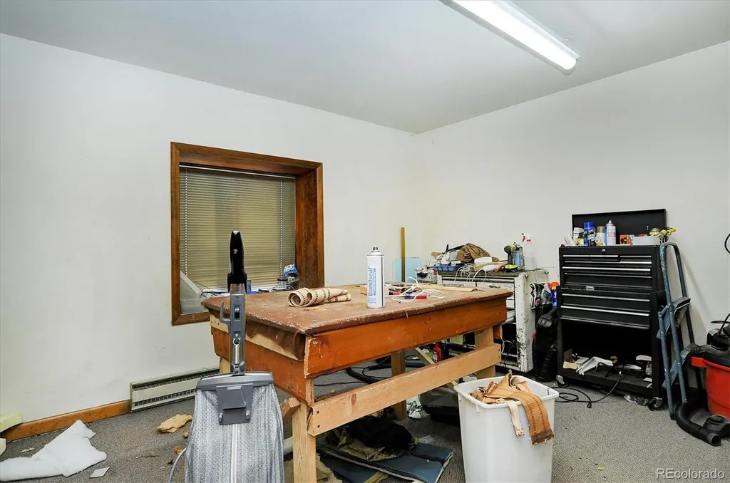 29909 Us Highway 24 Buena Vista CO 81211