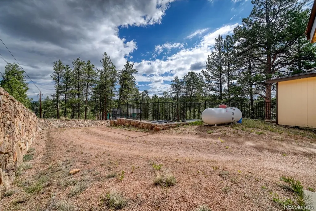 435 Phyllis Drive Florissant CO 80816
