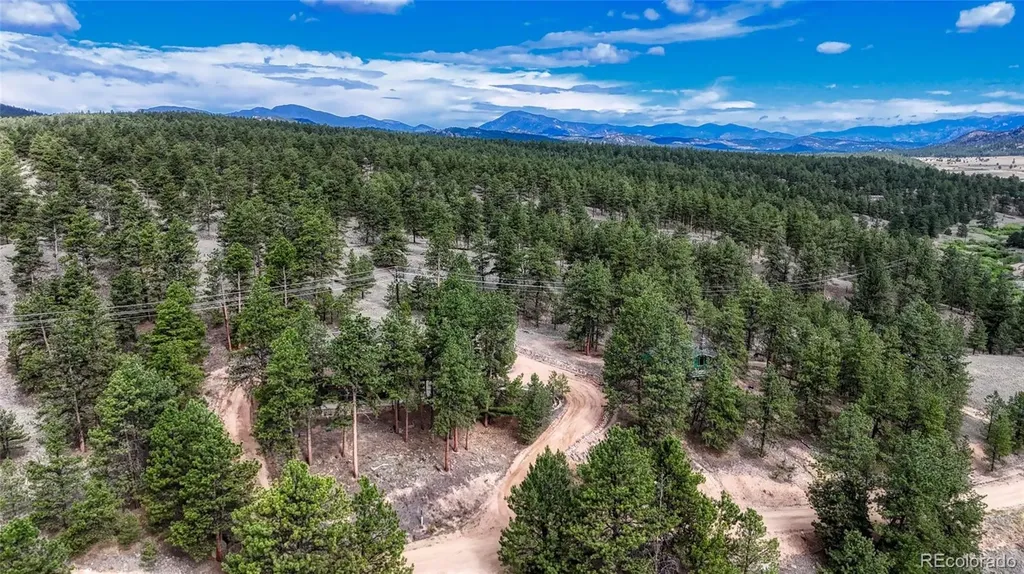 435 Phyllis Drive Florissant CO 80816