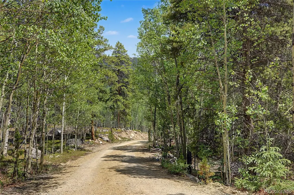 2602 Empire Valley Drive Leadville CO 80461