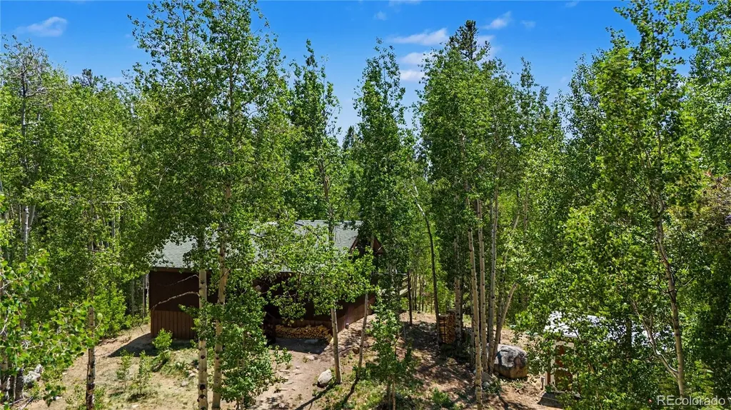 2602 Empire Valley Drive Leadville CO 80461