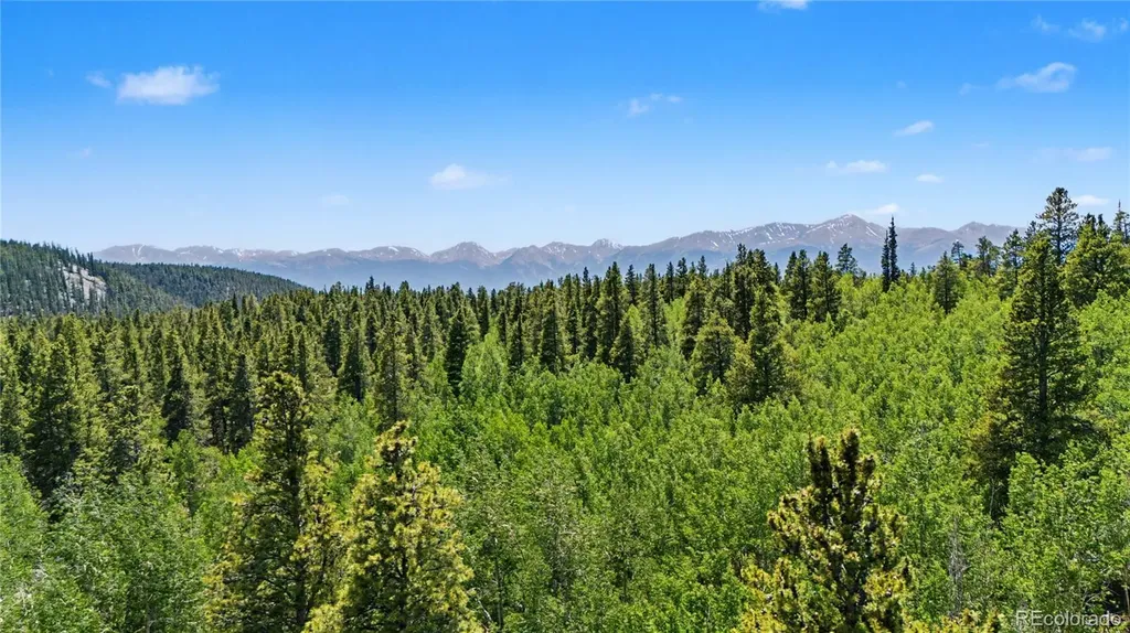 2602 Empire Valley Drive Leadville CO 80461