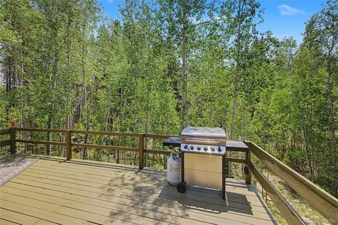 2602 Empire Valley Drive Leadville CO 80461