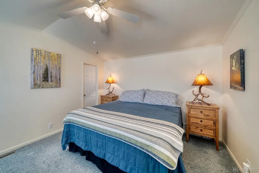 29600 County Road 353 Buena Vista CO 81211