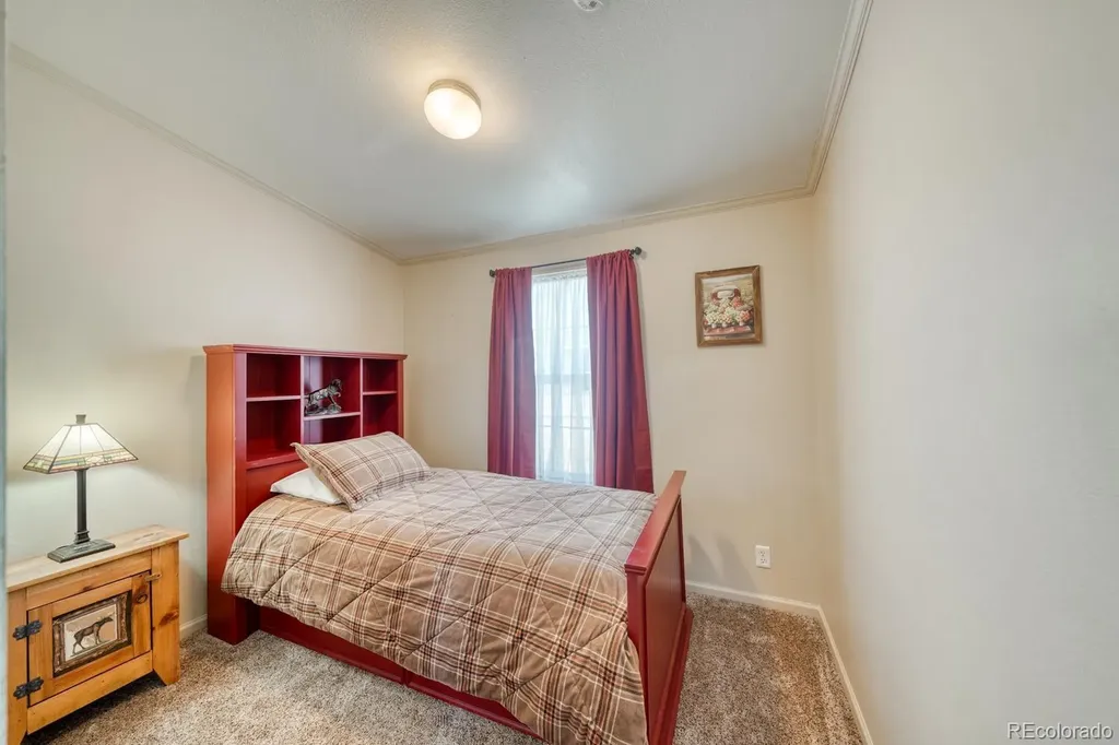 29600 County Road 353 Buena Vista CO 81211