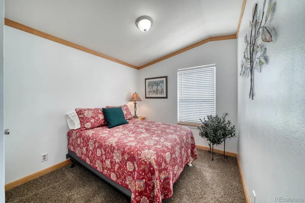 29600 County Road 353 Buena Vista CO 81211