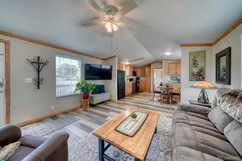 29600 County Road 353 Buena Vista CO 81211
