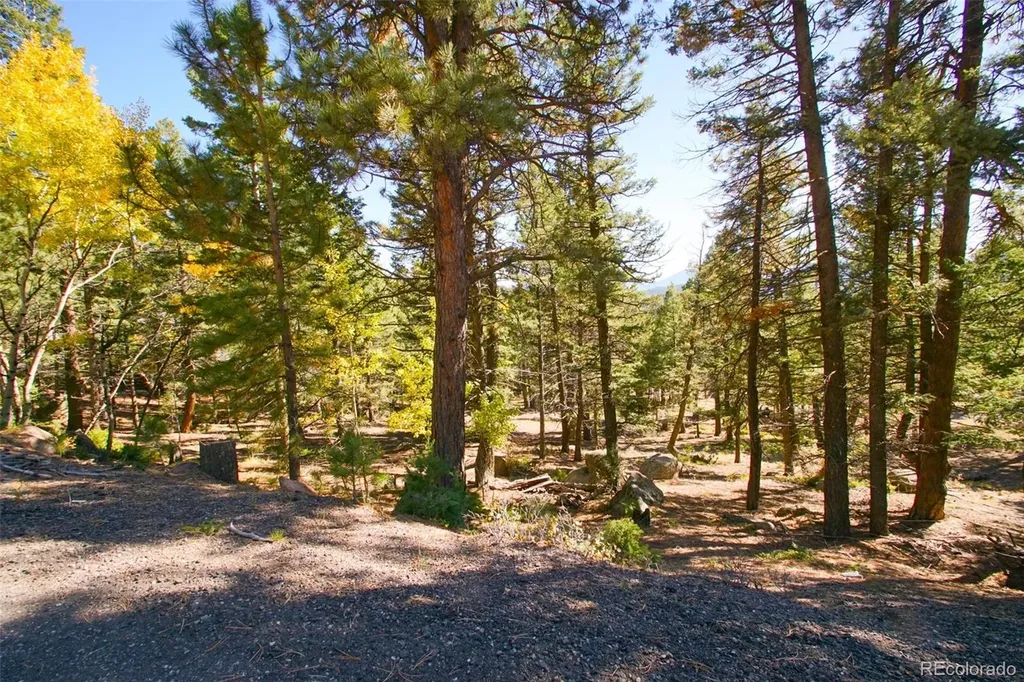 30402 Kings Valley E Conifer CO 80433