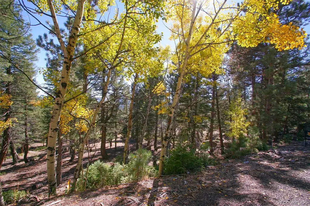 30402 Kings Valley E Conifer CO 80433