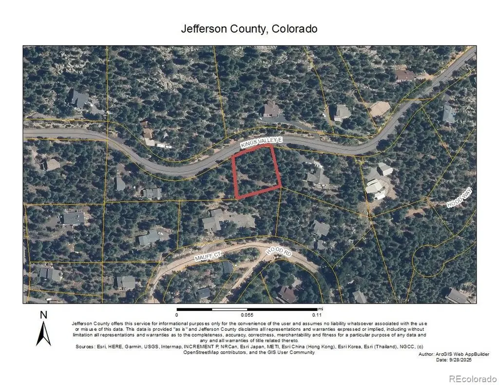 30402 Kings Valley E Conifer CO 80433