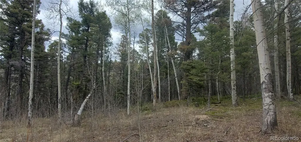 Lot 6090 Vreeland Road San Luis CO 81152