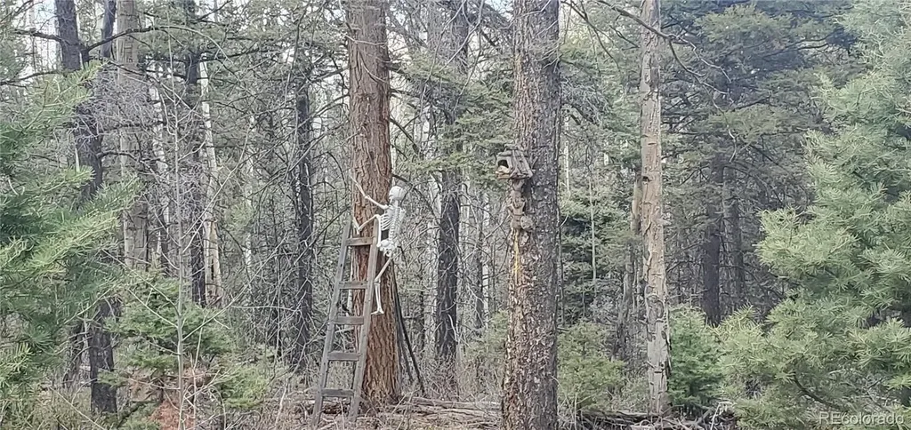 Lot 6090 Vreeland Road San Luis CO 81152