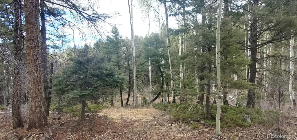 Lot 6090 Vreeland Road San Luis CO 81152