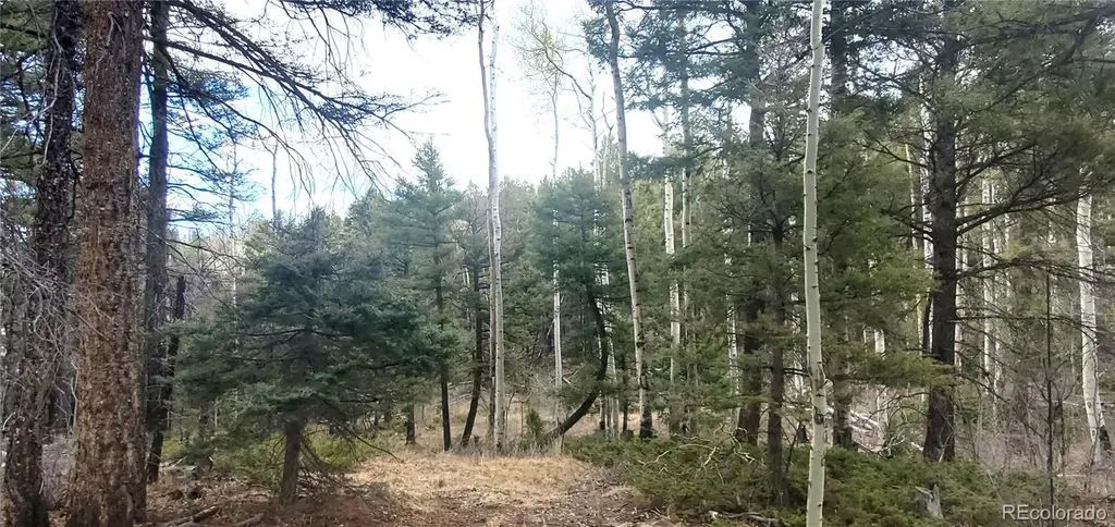 Lot 6090 Vreeland Road San Luis CO 81152