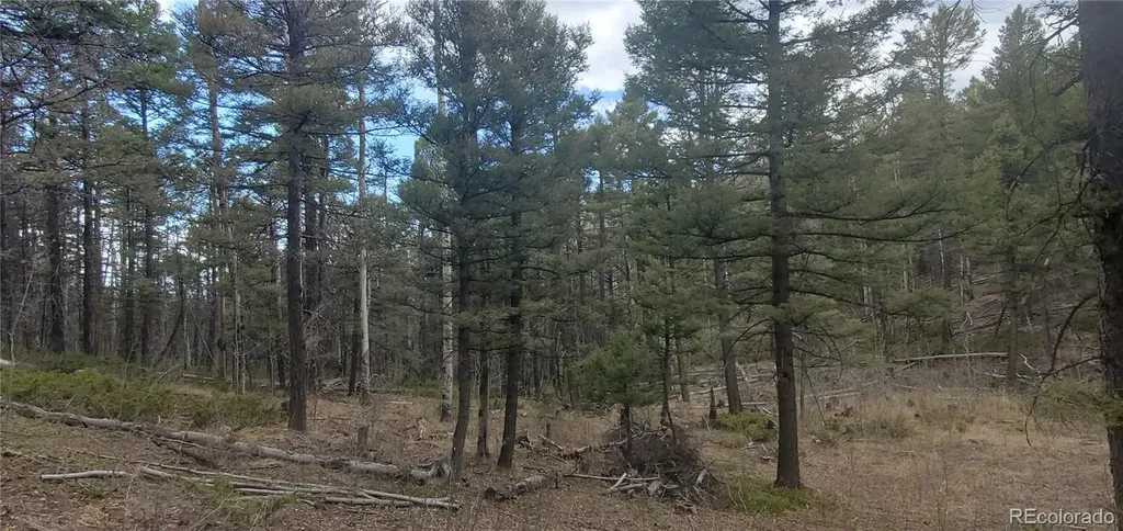 Lot 6090 Vreeland Road San Luis CO 81152